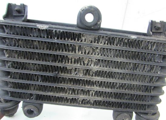 Olkuhler Kawasaki GPX 750