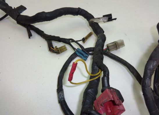 Kabelboom Honda CBR 1000 F