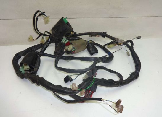 Wire Harness Honda Deauville 650 - 700