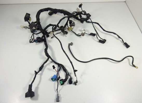 Wire Harness Kawasaki ER 6