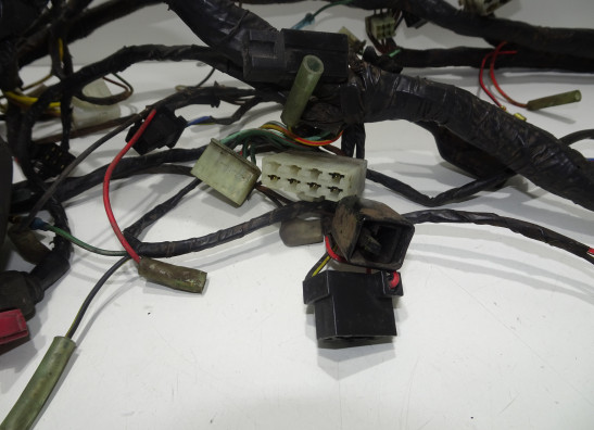 Wire Harness Kawasaki KLE 500