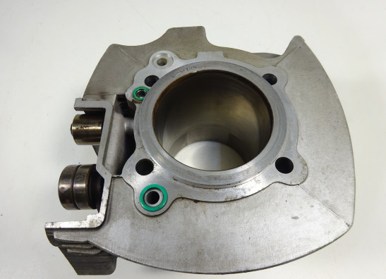 Cylinders Ducati monster 600