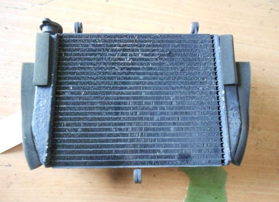 Radiator Yamaha YZF R6