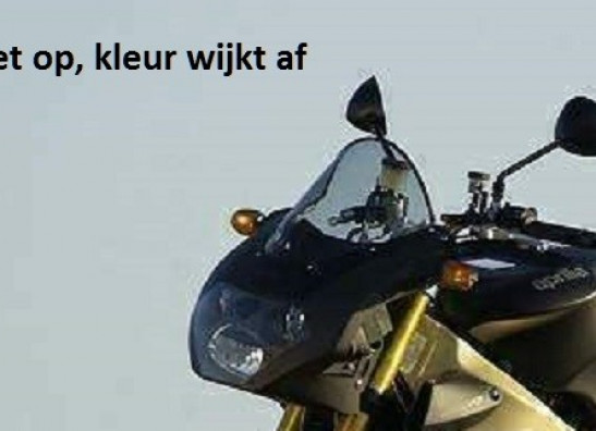 Wind screen Aprilia Tuono 1000