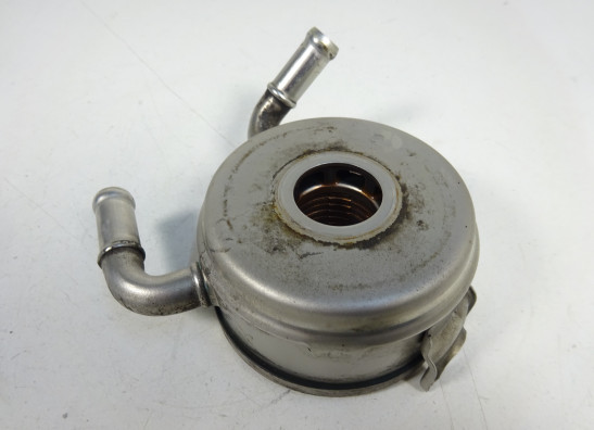 Motorblok diverse Triumph Street Triple 675