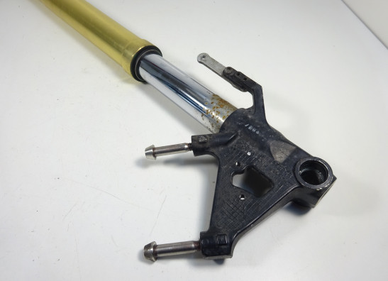 Front Fork left complete Triumph Tiger 1050