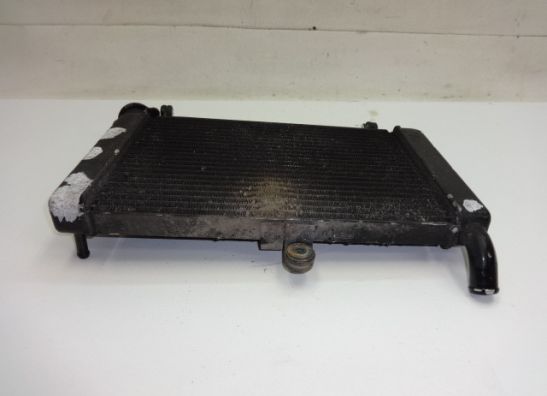 Radiateur Yamaha YZF 600 Thundercat