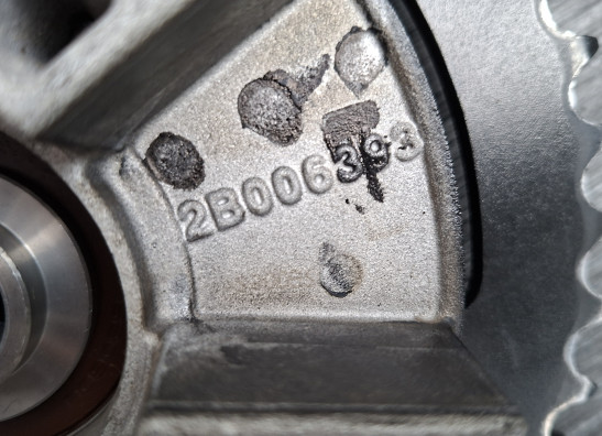 Tandwieldrager Aprilia Tuono 660