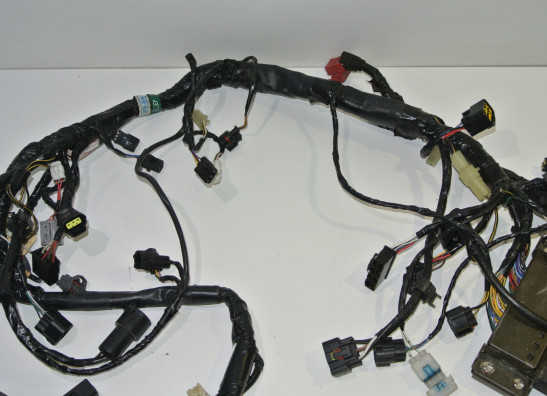 Wire Harness Kawasaki Z 750
