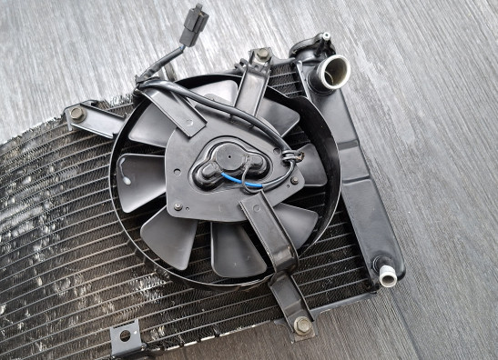 Radiateur Suzuki GSX R 600