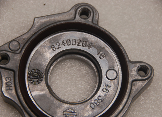 Motorblok diverse Harley Davidson Softtail