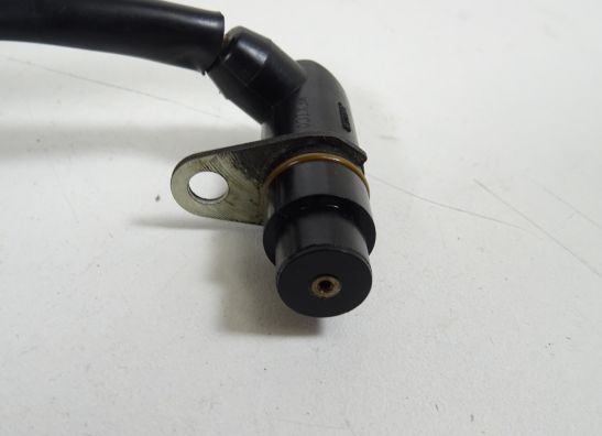 Engine parts Triumph Tiger 1050