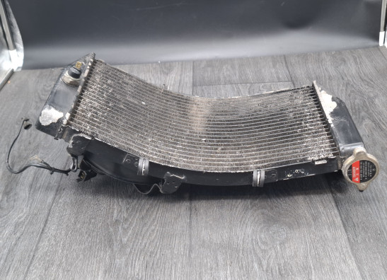 Kuhler Honda CBR Fireblade