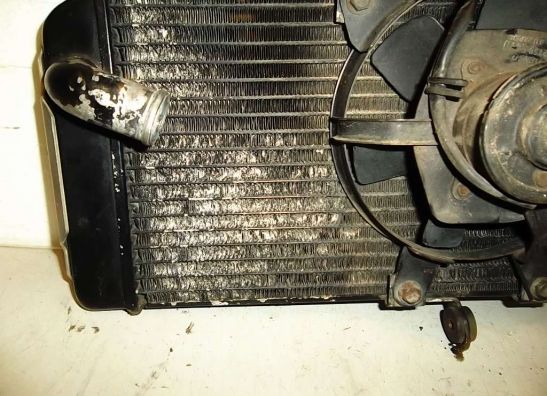 Radiateur Suzuki SV 650