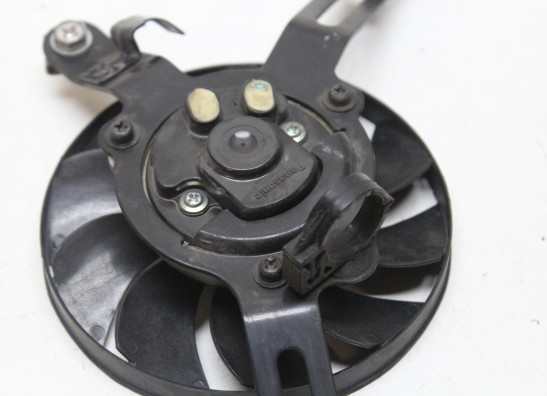 Fan Honda X-adventure 750