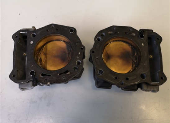 Cilinderblok Aprilia Shiver 750