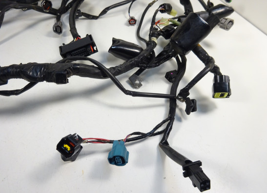 Kabelboom Kawasaki VERSYS 650