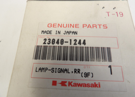 Blinker hinten rechts Kawasaki ZZR 600