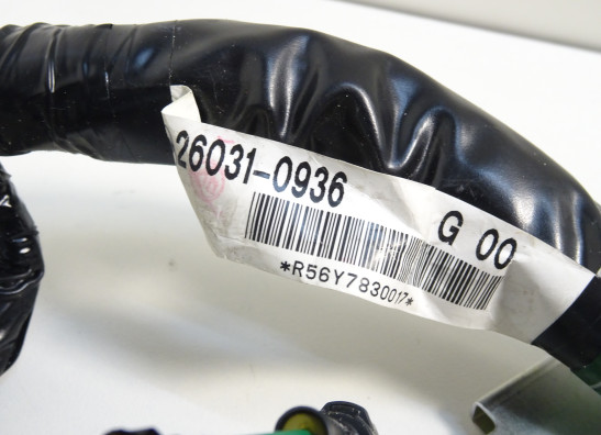 Kabelbaum Kawasaki Z 1000 Sx