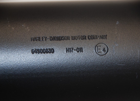 Auspuff Harley Davidson Touring FL