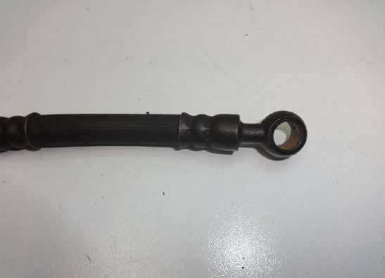 Brake hose front Kawasaki GPZ 900