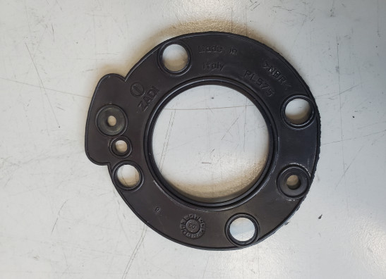 Overig Aprilia Tuono 1000