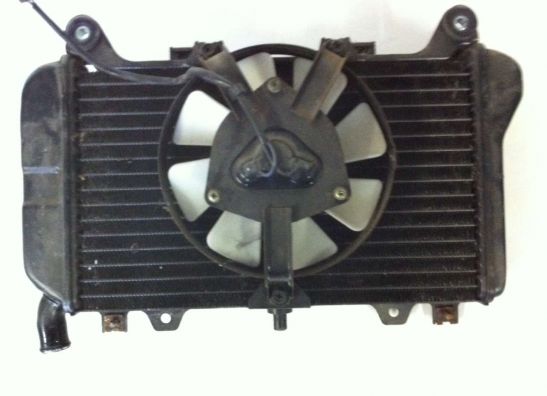 Radiator Kawasaki ZZR 600