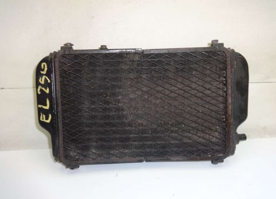 Radiateur Kawasaki EL 250