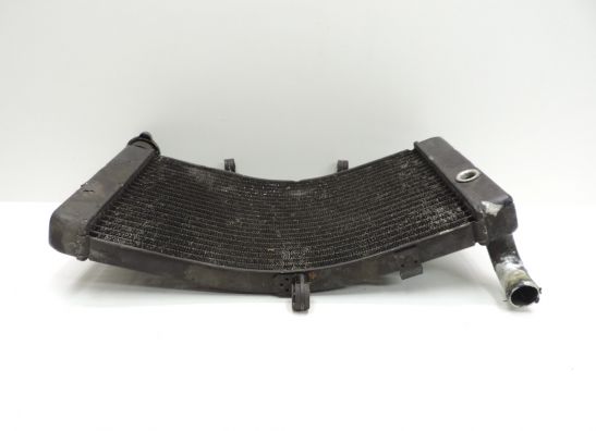 Kuhler Honda CBR 900 RR