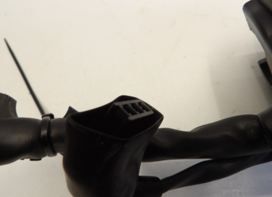 Handlebar switch assy left Triumph Thunderbird 900