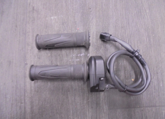 Gasgriff Triumph Trident 660