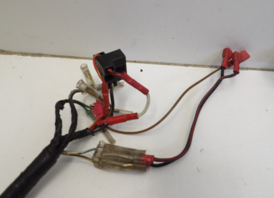 Wire Harness Kawasaki VN 800