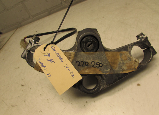 Kroonplaat Kawasaki ZZR 250