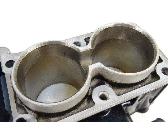 Cilinderblok Kawasaki Ninja 300