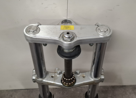 Voorpoten compleet Suzuki SV 650