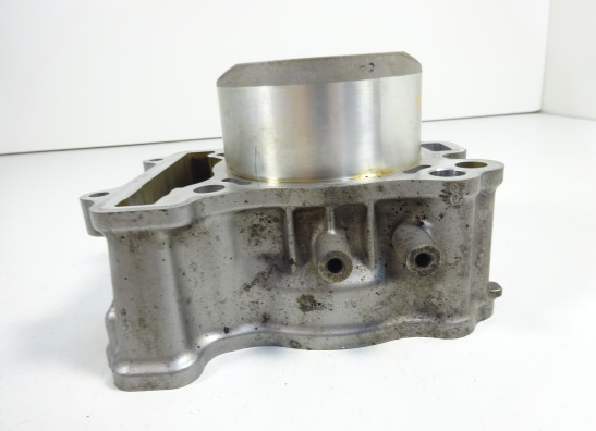 Zylinder Suzuki SFV 650 Gladius