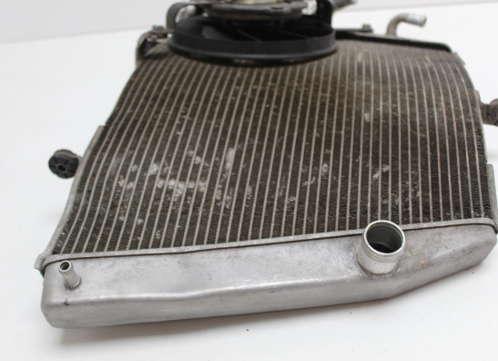 Radiator Suzuki GSX R 600