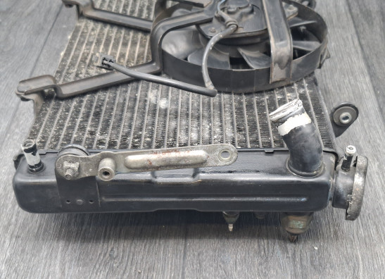 Radiator Yamaha FZR 1000