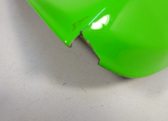 Buddycover Kawasaki ZX 10 R