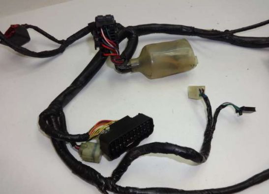 Kabelbaum Honda CB 600 F