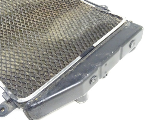 Radiateur MV Agusta 750 Brutale