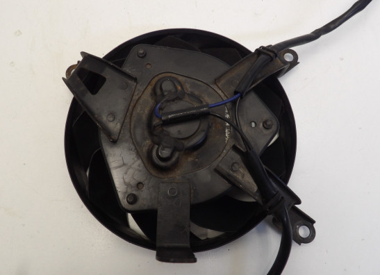 Fan Suzuki DL 1000 V STROM
