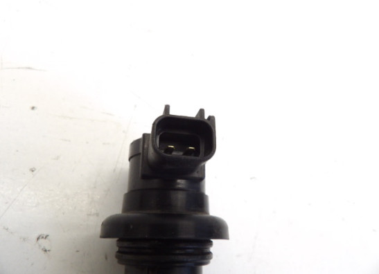 Bobine Yamaha YZF R1