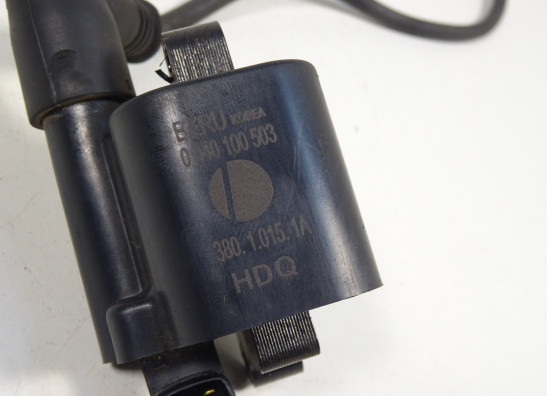 Bobine Ducati monster 796