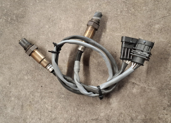 Lambdasonde KTM 790 Adventure