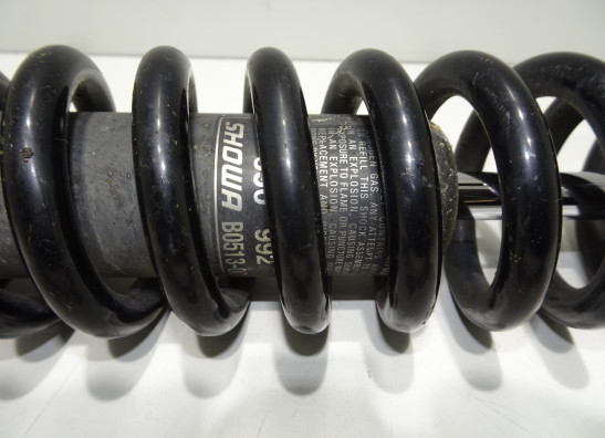 Stossdämpfer vorne BMW R 1200 GS