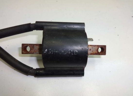 Zundspule Yamaha FZR 600