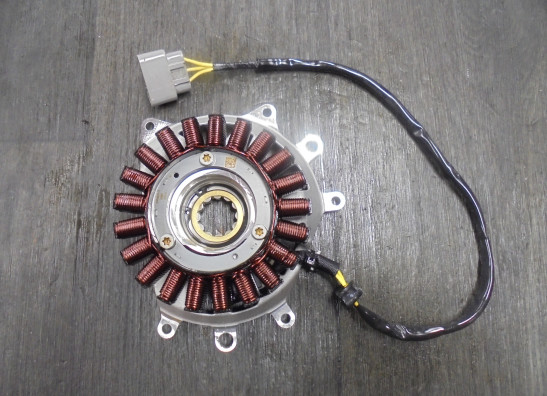 Dynamo BMW R 1250 GS 2021-2022