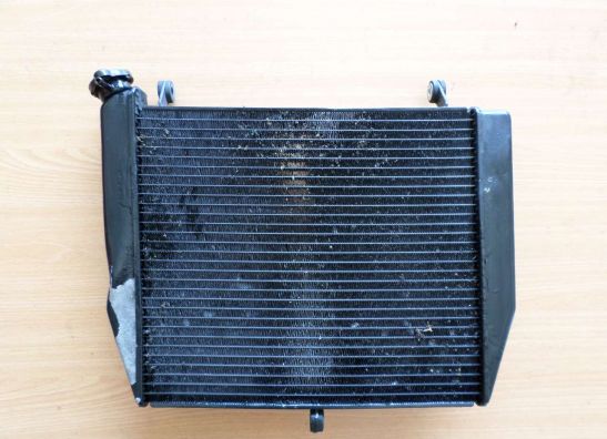 Radiateur Yamaha YZF R1