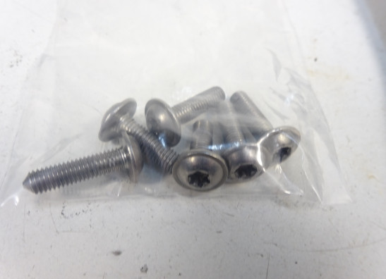 Windschild BMW K 1300 GT